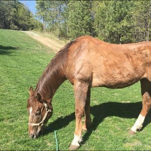 Meet your Posher, Bryanna